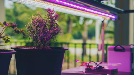 Comment installer de l'éclairage dans une veranda ?