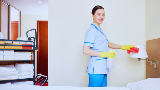 comment enlever des crottes de mouches sur un abat-jour ?